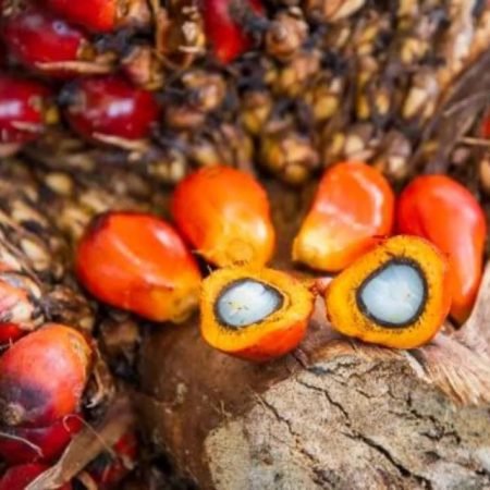 Where Does Batana Oil Come From